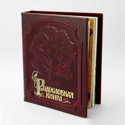 Родословная книга в подарок Изысканная PM-004 - фото 186211