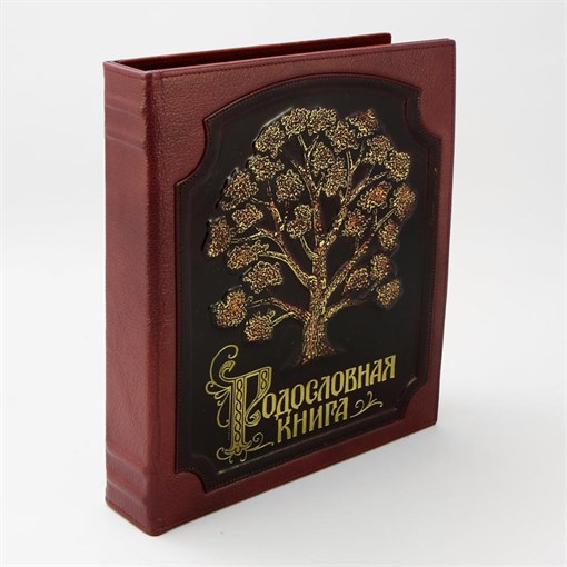 Родословная книга в кожаном переплете Изысканная PM-004-ПЗ - фото 186404