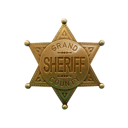 Значок окружного шерифа DE-113-L - фото 186483