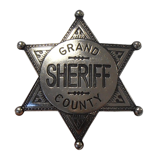 Значок шерифа DE-113-NQ - фото 186484