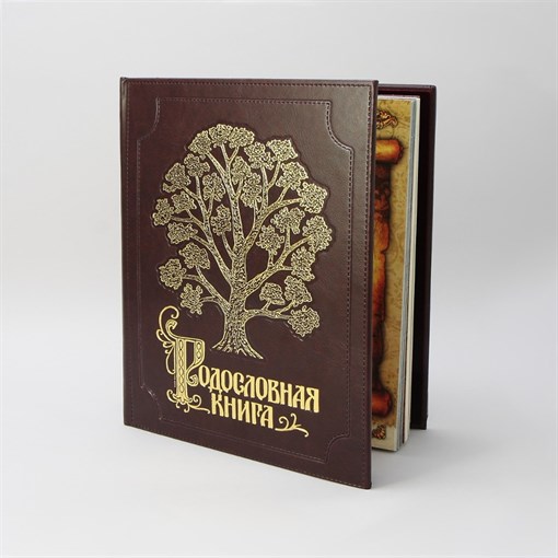 Альбом Родословная Книга  Изысканная   обложка из экокожи с золочением PM-004-ЭК - фото 186969