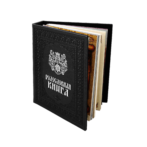 Альбом Родословная книга черная обложка - фото 199912