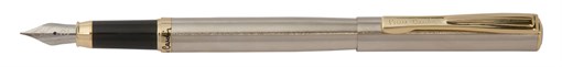 Ручка перьевая Pierre Cardin ECO. Корпус - латунь, отделка - сталь и позолота. Цвет - стальной - фото 255949
