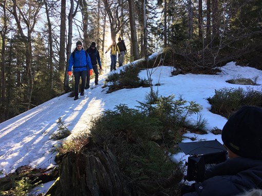 Водонепроницаемые носки DexShell Terrian Walking Ankle XL (47-49) - фото 260187