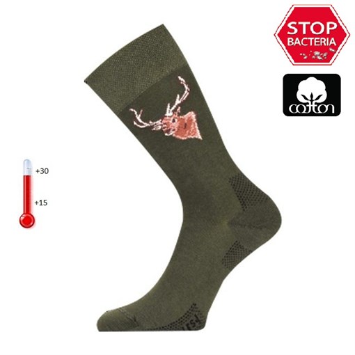 Носки Lasting  LFSJ 620, cotton+polyamide, зеленый с рисунком, размер L (LFSJ620-L) - фото 260565