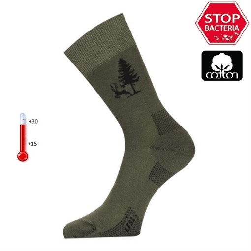 Носки Lasting  LFSL 620, cotton+polyamide, зеленый с рисунком, размер S (LFSL620-S) - фото 260568