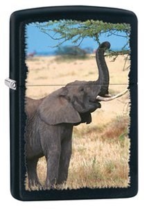 Широкая зажигалка Zippo Elephant 28666 - фото 283153