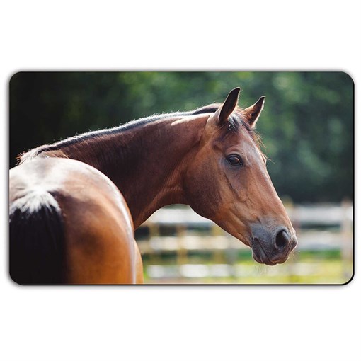 Доска разделочная для хлеба remember, f?r pferdem?dchen - фото 320678