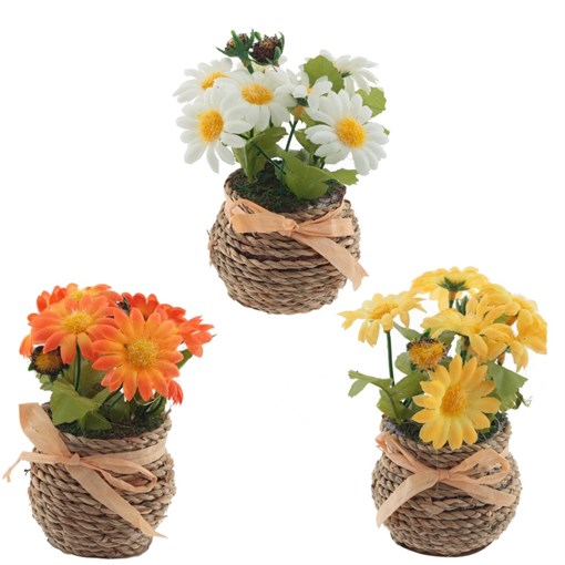 Цветочная композиция "Ромашки", L13 W9,5 H12 см, 3в. - фото 329295