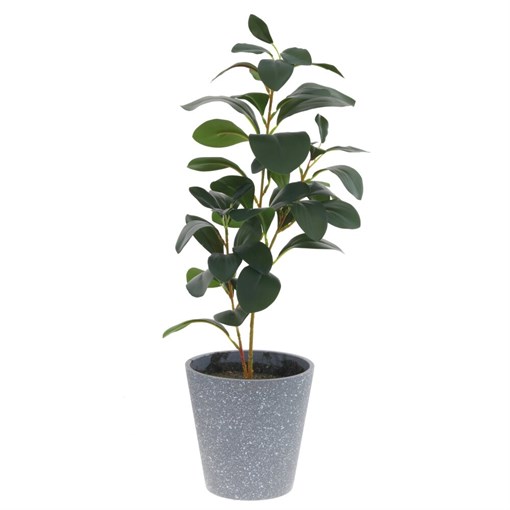 Цветочная композиция,  L22 W22 H58 см - фото 380387