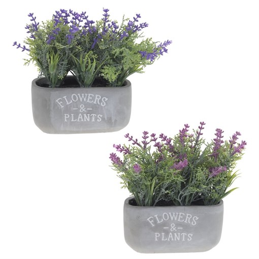 Цветочная композиция,  L21 W8 H18 см, 2в. - фото 380393