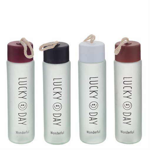 Бутылка, 400 мл, L5,5 W5,5 H21 см, 4в. - фото 381486