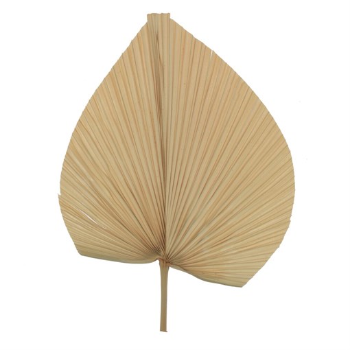 Ветка "Сухоцвет", L32 W1 H45 см - фото 383060