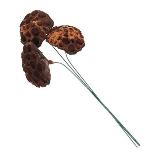 Ветка "Сухоцвет", набор из 3 шт, L15 W10 H40 см - фото 383061