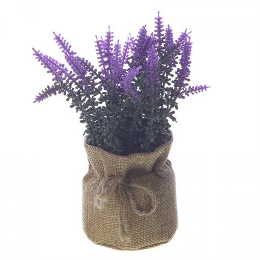 Цветочная композиция, L7 W7 H16 см - фото 386486