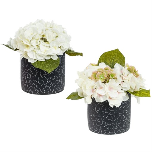 Цветочная композиция, L28 W28 H25 см, 2в. - фото 390700