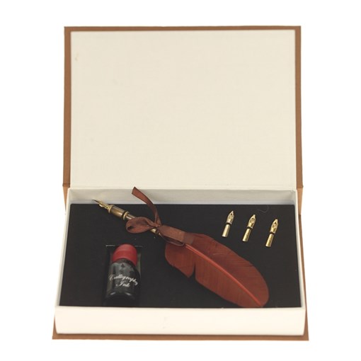 Набор: перьевая ручка, сменные перья (3 шт.), чернильница (20 ml) с чернилами, L23 W16 H4 см - фото 390835