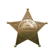 Значок полицейского США DE-108