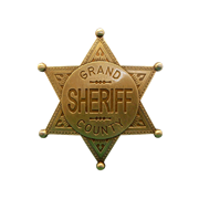 Значок окружного шерифа DE-113-L