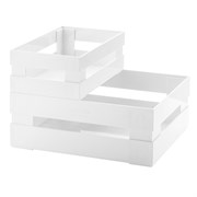 Набор из 2 ящиков tidy & store белый