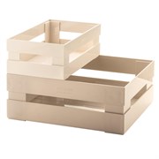 Набор из 2 ящиков tidy & store бежевый