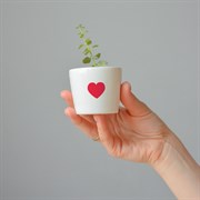 Набор для выращивания eco мини-кашпо "Сердце"