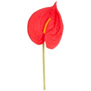 Цветок искусственный "Антуриум" H=51 см , красный
