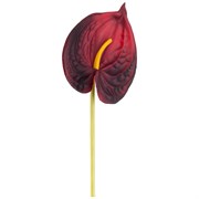 Цветок искусственный "Антуриум" H=51 см , бордовый