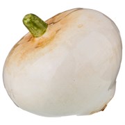 Лук 6*6 см без упаковки