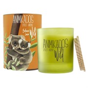 Свеча ароматическая wild koala, Бальзамические листья, 40 ч
