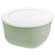 Контейнер connect box, organic, 4 л, зеленый
