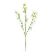 Цветок искусственный "Пастушья сумка",  L23 W10 H62 см