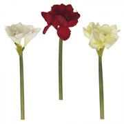 Цветок искусственный "Амариллис", L14 W14 H65 см, 3в.