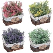 Цветочная композиция,  L17 W9 H17 см, 4в.