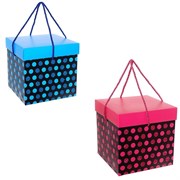 Коробка подарочная, L25 W25 H25 см, 2в.