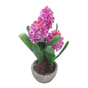 Цветочная композиция "Гиацинт", L15 W15 H34 см