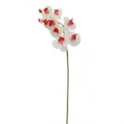 Цветок искусственный "Орхидея" (силиконовое покрытие),  L15 W10 H80 см