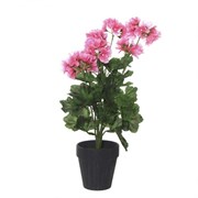 Цветочная композиция "Герань", L33 W33 H53 см