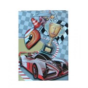 Пакет подарочный 3D (бумага, плотность 210г/м2, блок 12шт), L18 W8 H24 см