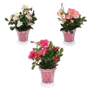 Цветочная композиция "Розы", L30 H30 см, 3в. (б/инд. уп.)