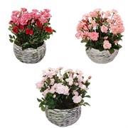 Цветочная композиция "Розы", L24 H26 см, 3в. (б/инд. уп.)