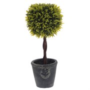 Цветочная композиция,  L16 W16 H34 см