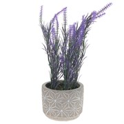 Цветочная композиция,  L12 W12 H30 см