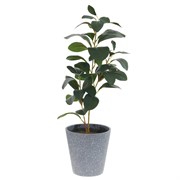 Цветочная композиция,  L22 W22 H58 см