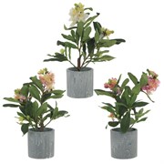 Цветочная композиция, L20 W20 H31 см, 3в.