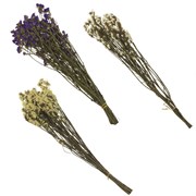 Букет "Сухоцветы", L23 W7 H80 см, 4в.