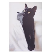 Панно,  L40 W2,5 H60 см