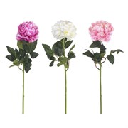 Цветок искусственный "Пион", L15 W15 H72 см, 3в.