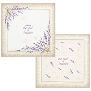 Набор салфеток из 2-х шт "Душа прованса",40х40 см , 100% хлопок,бежевый,твил,