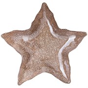 Блюдо "Starfish" sand 34 см